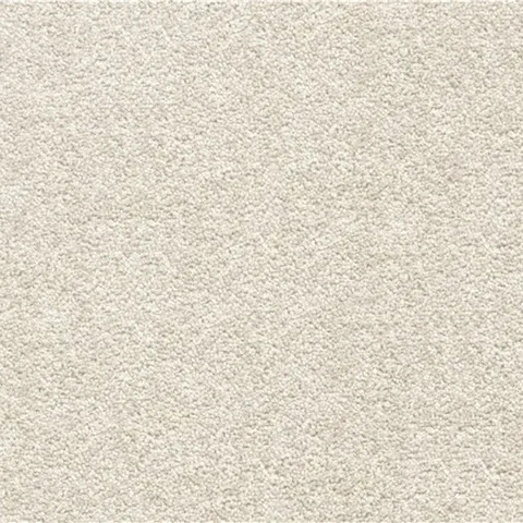 Savannah carpet swatch